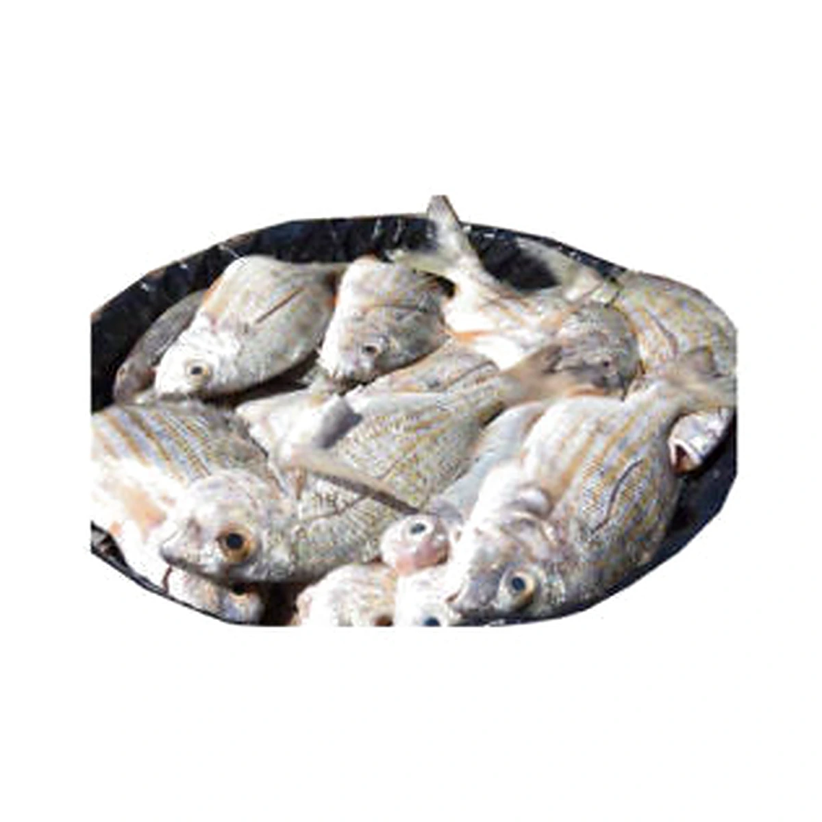 Grunt Bulk - 2 Lb