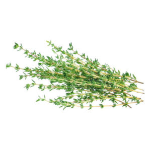 THYME - 1/2 Lb